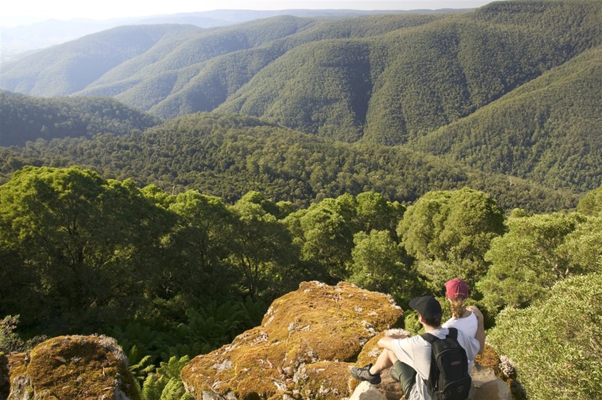 Permits for travel to regional NSW | Mirage News