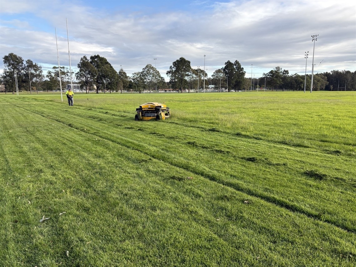 new mower.jpg