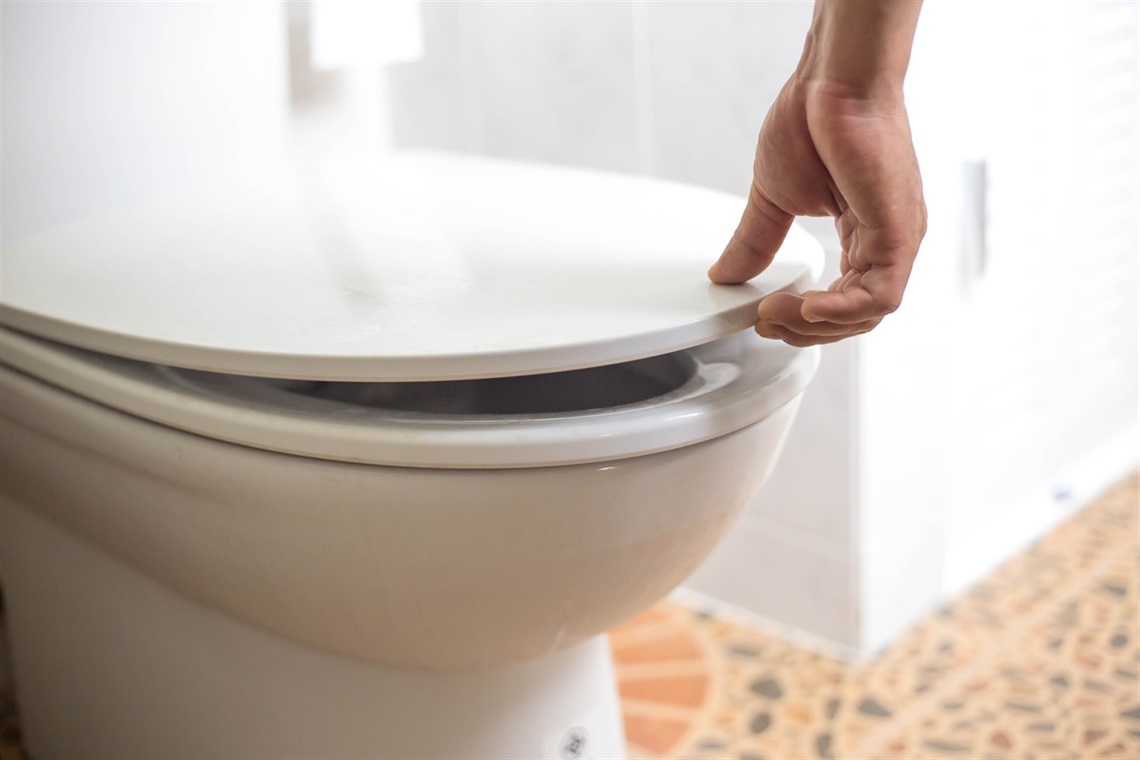 toilet-lid.jpg