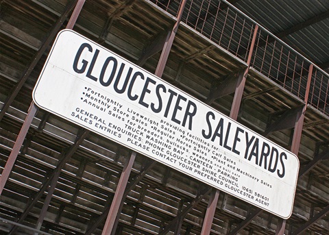 Saleyards-Gloucester-01.jpg