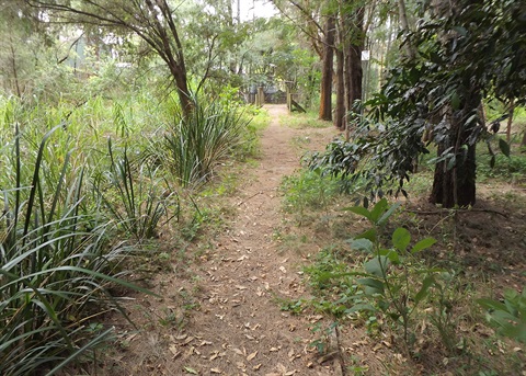 Wingham Wetlands