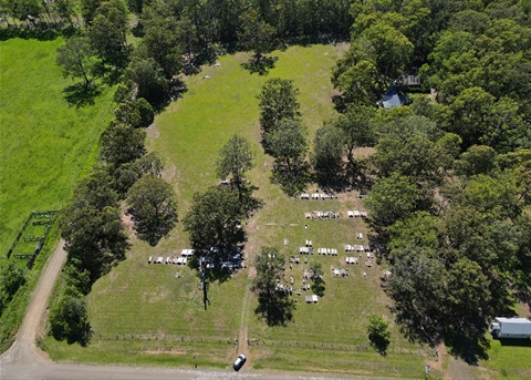 Oxley-Island-Cemetery.jpeg