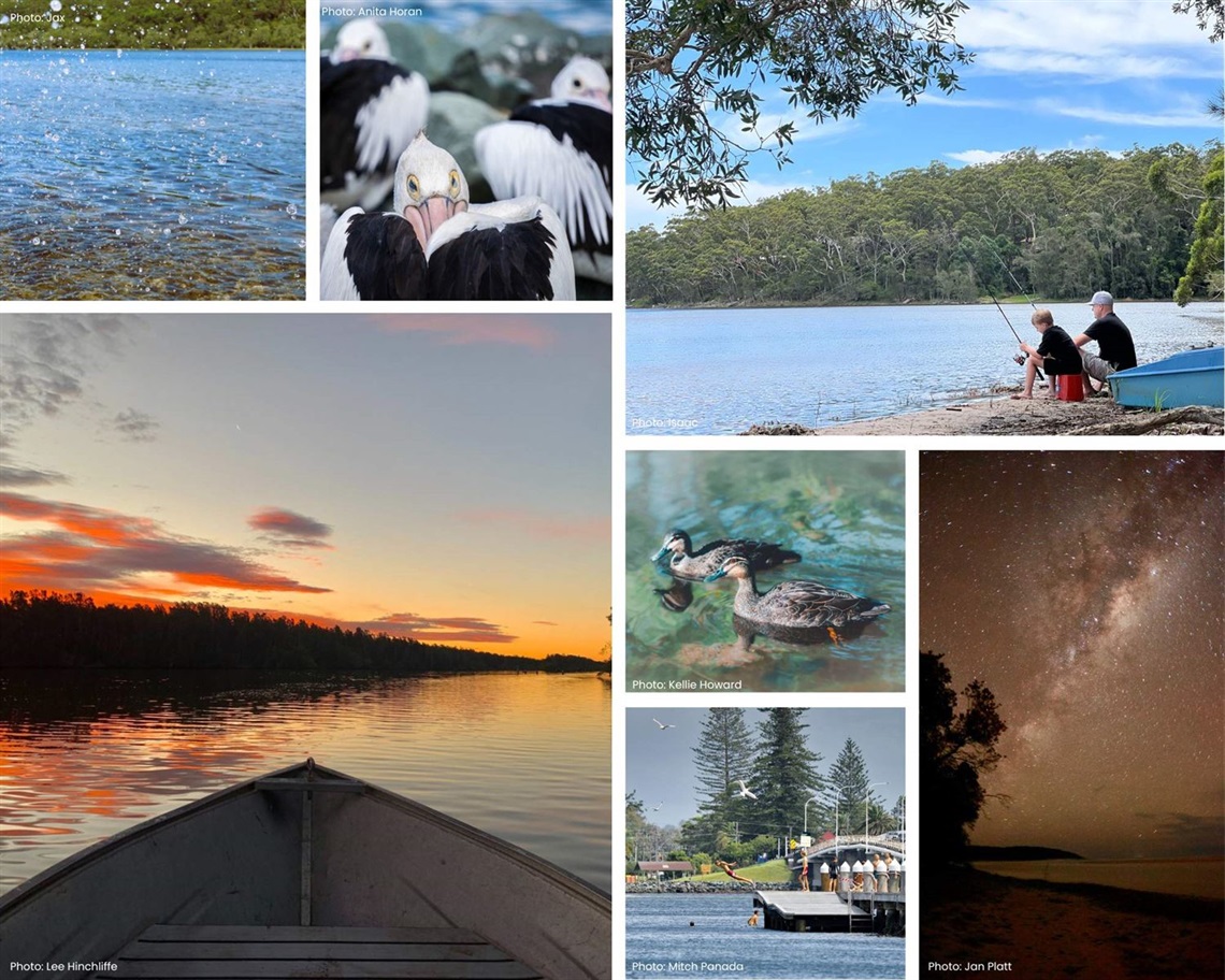 Southern estuaries photo competition winners.jpg