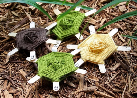 Turtle-Weaving.jpg