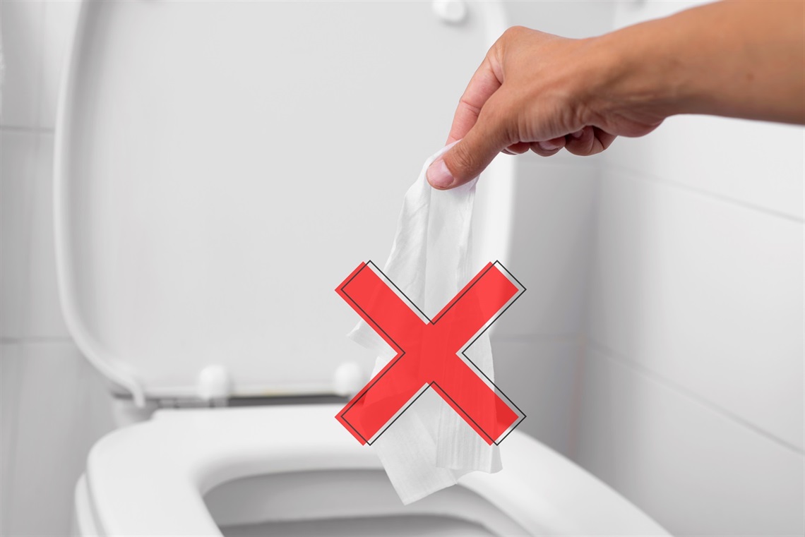 No wet wipes in toilet.jpg