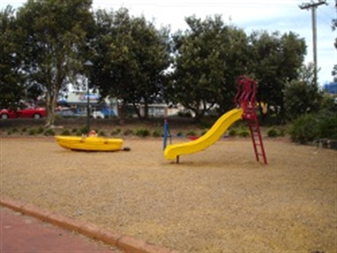 Forster Town Park Playground