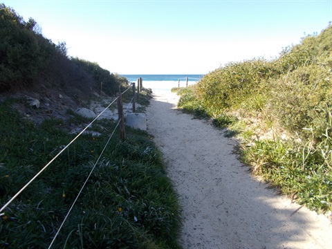 The beach access track at Williams-Park.jpg