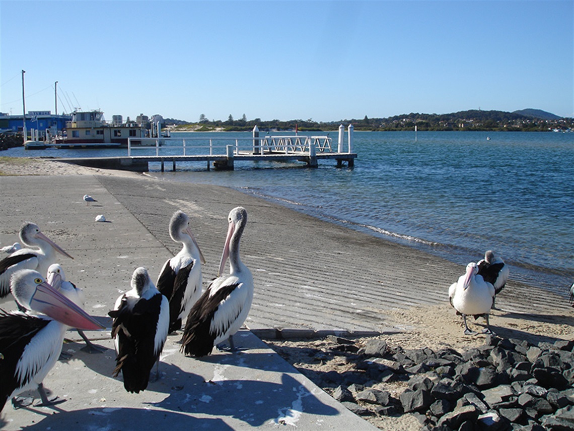 Point Road Tuncurry